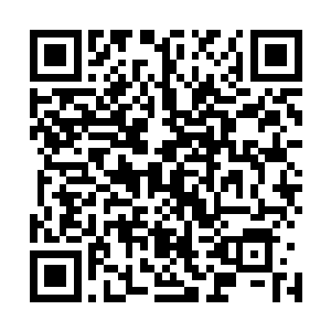 贪狼所打出来的力量和他能打出来的力量几乎是一模一样的二维码生成