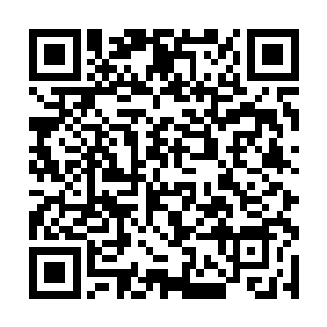 购买一艘小型流星级星舰正常需要一百万粒下品元丹二维码生成