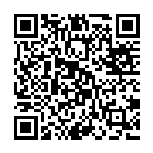 购买力足够让院子里几个小学生跟在她屁股后面打转二维码生成