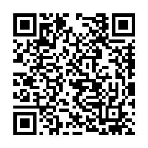 贴吧当中又立刻出现了关于林烽新的话题帖子来了二维码生成