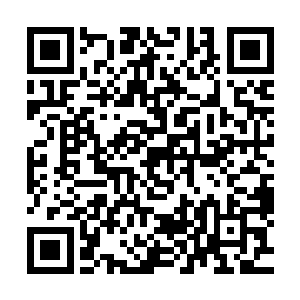 贴身的上衣已经将她奥凸有致的完美身段毫无保留地包裹出来二维码生成