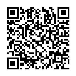 贴身穿着的防寒保温效果比皮毛还好后都坐不住了二维码生成