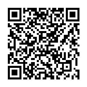 贵国下次来访我们国家时也可带一些出家人前来观摩学习二维码生成