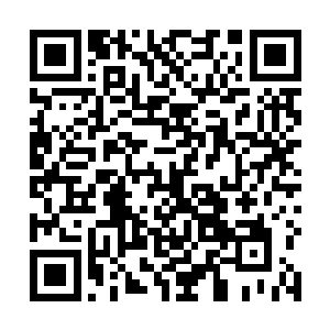 贵国自然要支付这六十万魏阳城百姓两个月的生活费用二维码生成