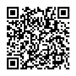 贵宾席上的西门孤烟和燕星云相互竖起了大拇指二维码生成