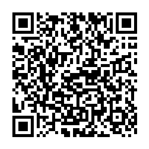 贷款拿赞助款的矿老板以及矿口的民工们连县委书记苗坤生都骂上了二维码生成