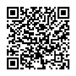 费劲了力气将儿子送上皇位自己做了太后该享福了二维码生成