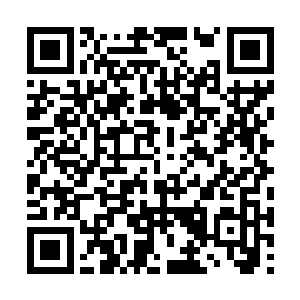 费南上还是有很多神秘组织在暗中搜集纳鲁之书的二维码生成
