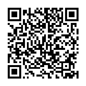 费南只不过是世界之树枝干穿越而过的一个最重要的物质界二维码生成