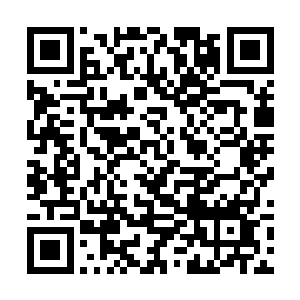 费家陆家赵家的九名超级战士手腕上的智脑同时响起二维码生成