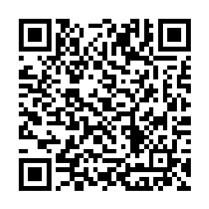 费小姐在上个月初向我们晟霆集团投了一份应聘简历二维码生成