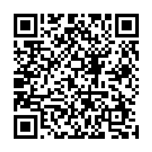费德思希望借着那野蛮牛王的力量来战胜督瑞尔的想法很好二维码生成
