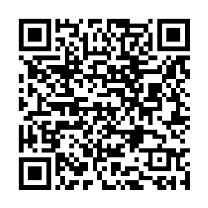 费楚雄刚刚还倍显疲惫的双眼瞬间又迸发出了光芒二维码生成