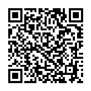 费洛把秘书塞给他的花和礼物没好气地放在了桌面上二维码生成