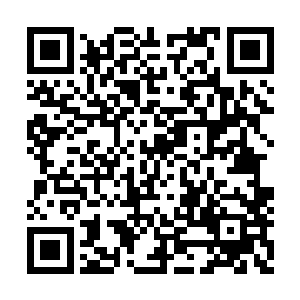 费芷柔一眼便看到大厅的正中间坐着一个老太太二维码生成