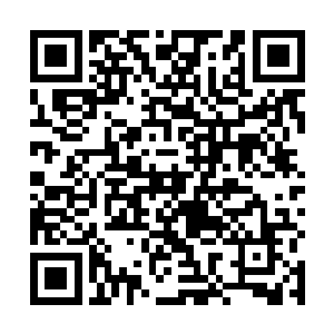 费芷柔终于看到一个身影从远处的一棵大树后走了出来二维码生成