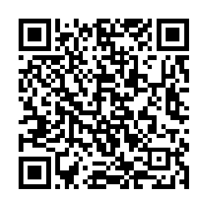 贺兰氏身边得力大宫女璃清才捧着冰镇的梅子汤进来二维码生成