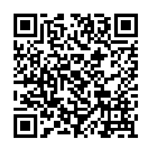 贺兰锦解释的空挡手起刀落又是几头牛角虎倒地二维码生成