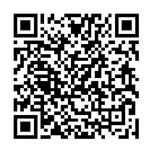 贺泰山绝对不容许杨立业安然无事地生活在他的眼皮底下二维码生成