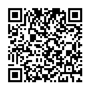 贾延阳和王建力平时虽然占着家中权势嚣张蛮横惯了二维码生成