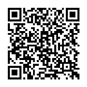 贾琮这句卫青本自兴奴仆的话对读书人不算什么二维码生成