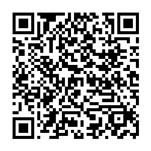 贾纳尔将皇帝的布置与机械人的操作后门都告诉了我……在临死之前……二维码生成