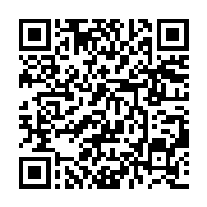 贾靓儿当时已经从司慕那里知道很多主神空间的规则二维码生成