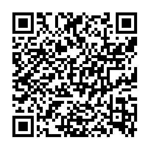 资历不足以服众……而且大精灵王也并没有明确指定我接班千叶之森二维码生成
