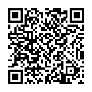 资本主义制度存在的最大弊病就是经济危机难以根治二维码生成