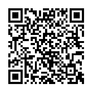 资源和血脉锤炼之法集中于朝廷和世家的环境下二维码生成