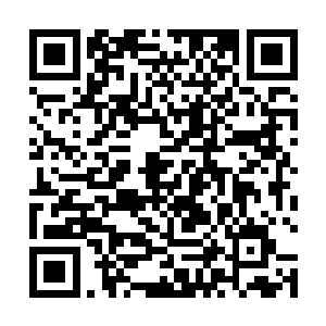 赌斗台周围包厢平台之上先后有不少人已经压下了灵石二维码生成