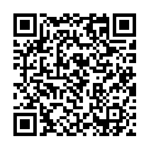 赖八甚至创造性的给牲口的嘴上捂上了一个麻布袋子二维码生成