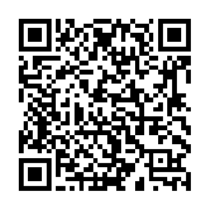 赖小三和赛诸葛则是坐在大堂属于会长与副会长位置二维码生成