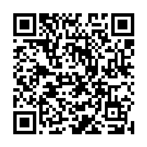 赞布在魂海中有时醒来无事就会想一些炼骨方面的知识二维码生成