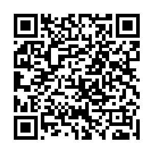 赞布说得到诺米认可后会得到一些威力巨大的神之武器二维码生成