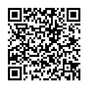 赢天养对看着自己一路走过来的昭武帝没藏着掖着二维码生成