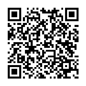 赢得了法国所有专业媒体众口一致的赞誉和喜爱二维码生成