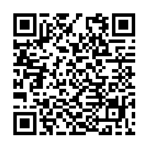 赤冠雕的实力就不会是九域修士形容得那么可怕了二维码生成