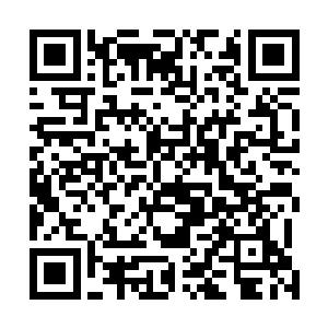 赤月兽和小月月以及雷云兽像是小跟班一样跟在小白身边二维码生成