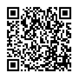 赤狐那双宛若烧红烙铁一般的子撞击在阔剑之上二维码生成