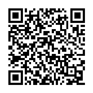 赤红的肉翅抬起来对着孤独霸的脑袋就拍了下去二维码生成
