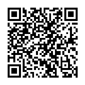 赤红色的沙砾很快在横七竖八的尸体上薄薄覆盖了一层二维码生成