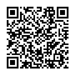 赤脚走向远处巨石宫殿进去好半天后有一绿衣少女出来示意二维码生成