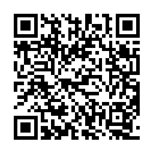赤脚蹲在花丛旁怔怔的望着在花朵上方停留盘旋的蝴蝶二维码生成