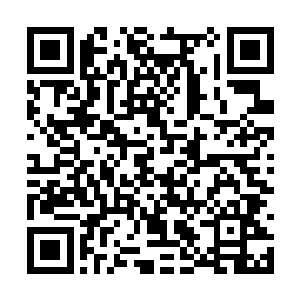 赤蛟之鳞经掺杂着一丝八部天龙火的地火锻造而成二维码生成