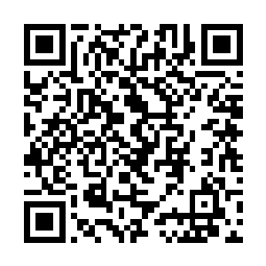 赤蛟和另外两个元尊凝煞武道之人被沈凡的一刀斩首二维码生成