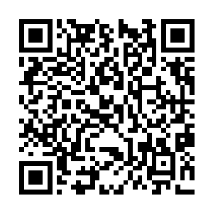 赤血界在和平域的所作所为被太天界和碧央界知晓二维码生成