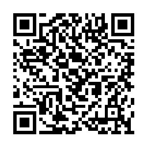 赤金明星无论人气多高片酬都是达不到一百万的二维码生成