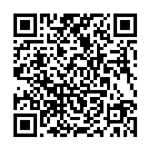 赤龙果成熟的时间正好在火焰山开启的时间段当中啊二维码生成