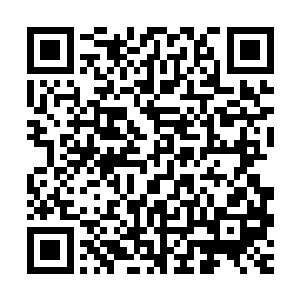 赫兰王后才拉着一大堆调好的饰品跟着叶璃一脸欢快的下楼去了二维码生成